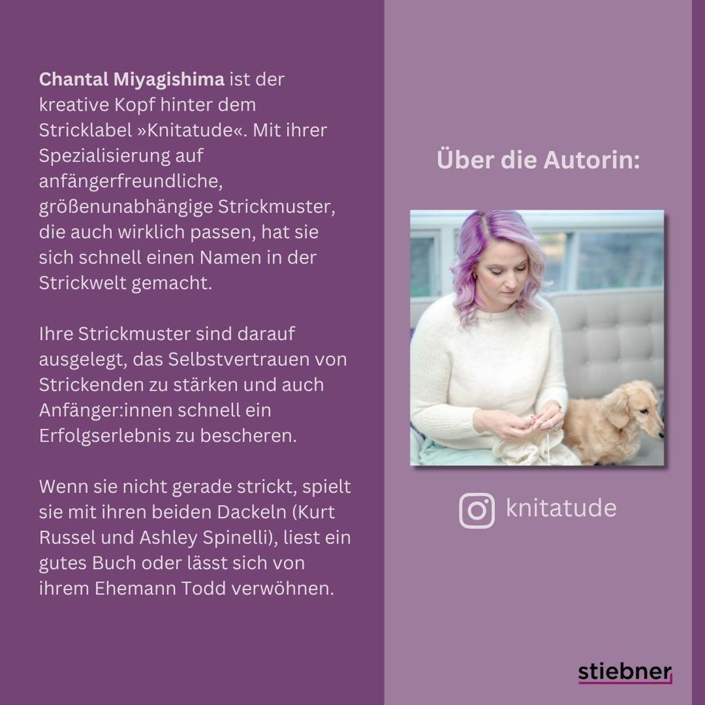 Pullover stricken ganz einfach